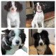 Custom Stuffed Animals Plush Clones Custom Stuffed Animals Plush Clones