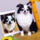 Custom Stuffed Animals Plush Clones Custom Stuffed Animals Plush Clones