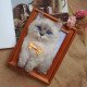 Custom Stuffed Pet Portrait Custom Stuffed Pet Portrait