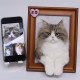 Custom Stuffed Pet Portrait Custom Stuffed Pet Portrait